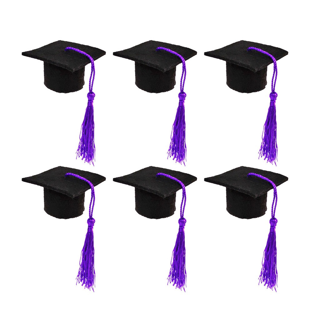 6Pcs Doctoral Cover Mini Docto - Wine Beer Hat review and price
